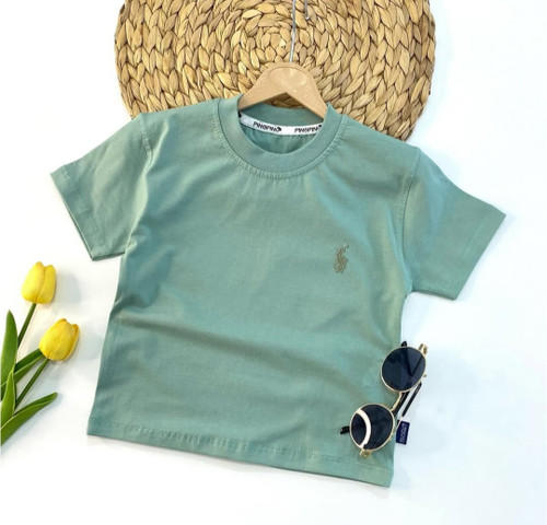 تیشرت تک رنگ پولو رنگ دریایی